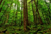 世界保龄球青年联赛地方试点推广成效公布，保龄球世界排名