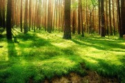 世界体操单项赛全国青训基地示范活动启动，世界体操大赛包括